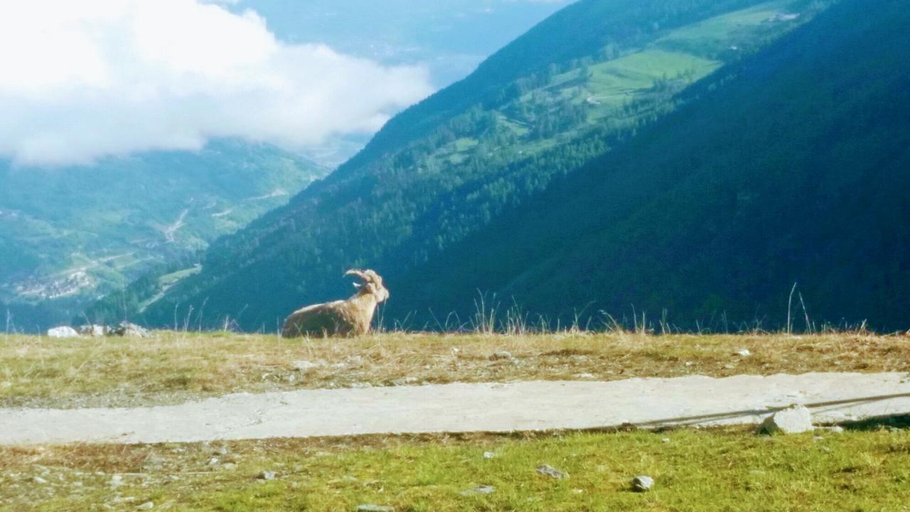 فندق Coutaفي  Val Des Dix المظهر الخارجي الصورة
