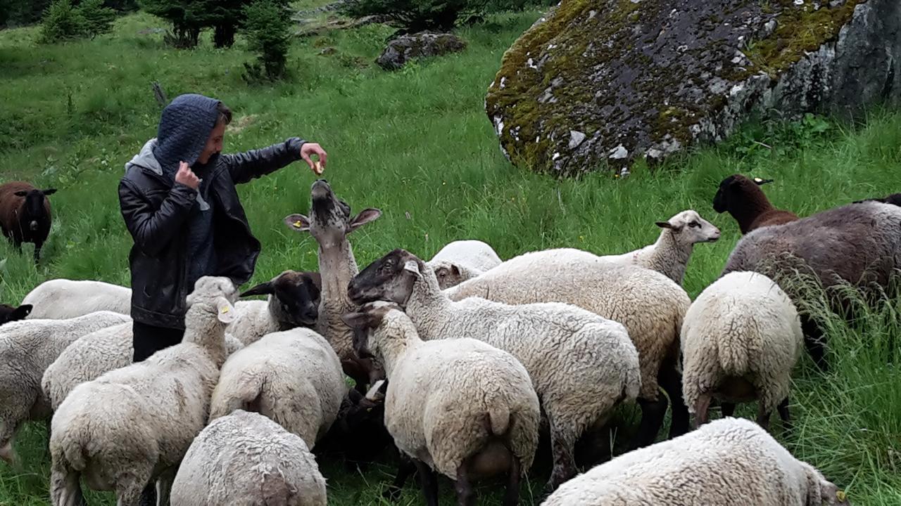 فندق Coutaفي  Val Des Dix المظهر الخارجي الصورة
